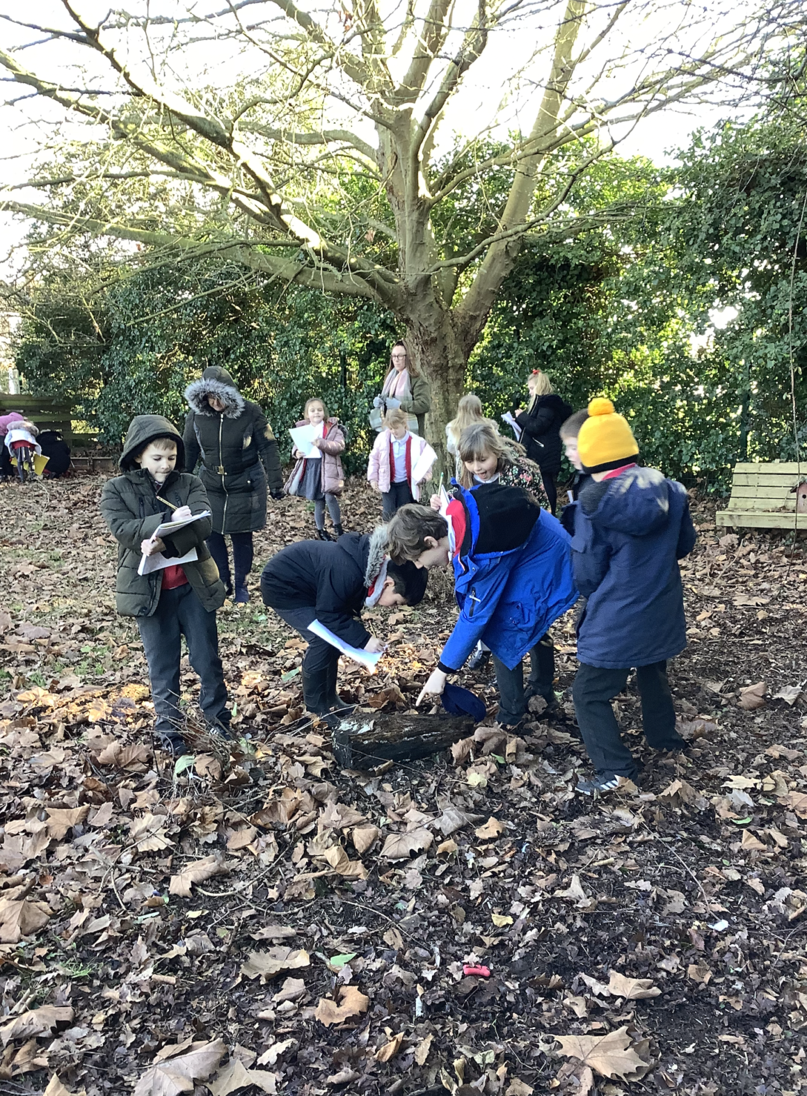 Class 3’s “A Carnival of Animals” Topic