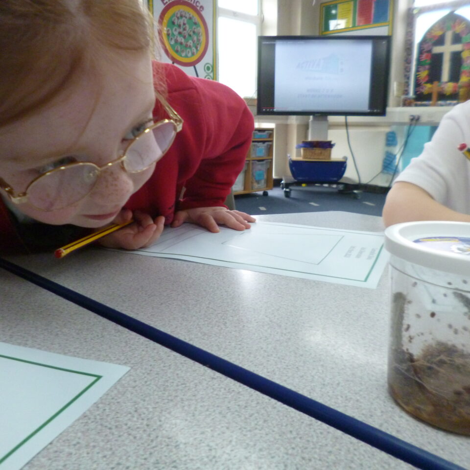 Class R’s Caterpillar Investigations