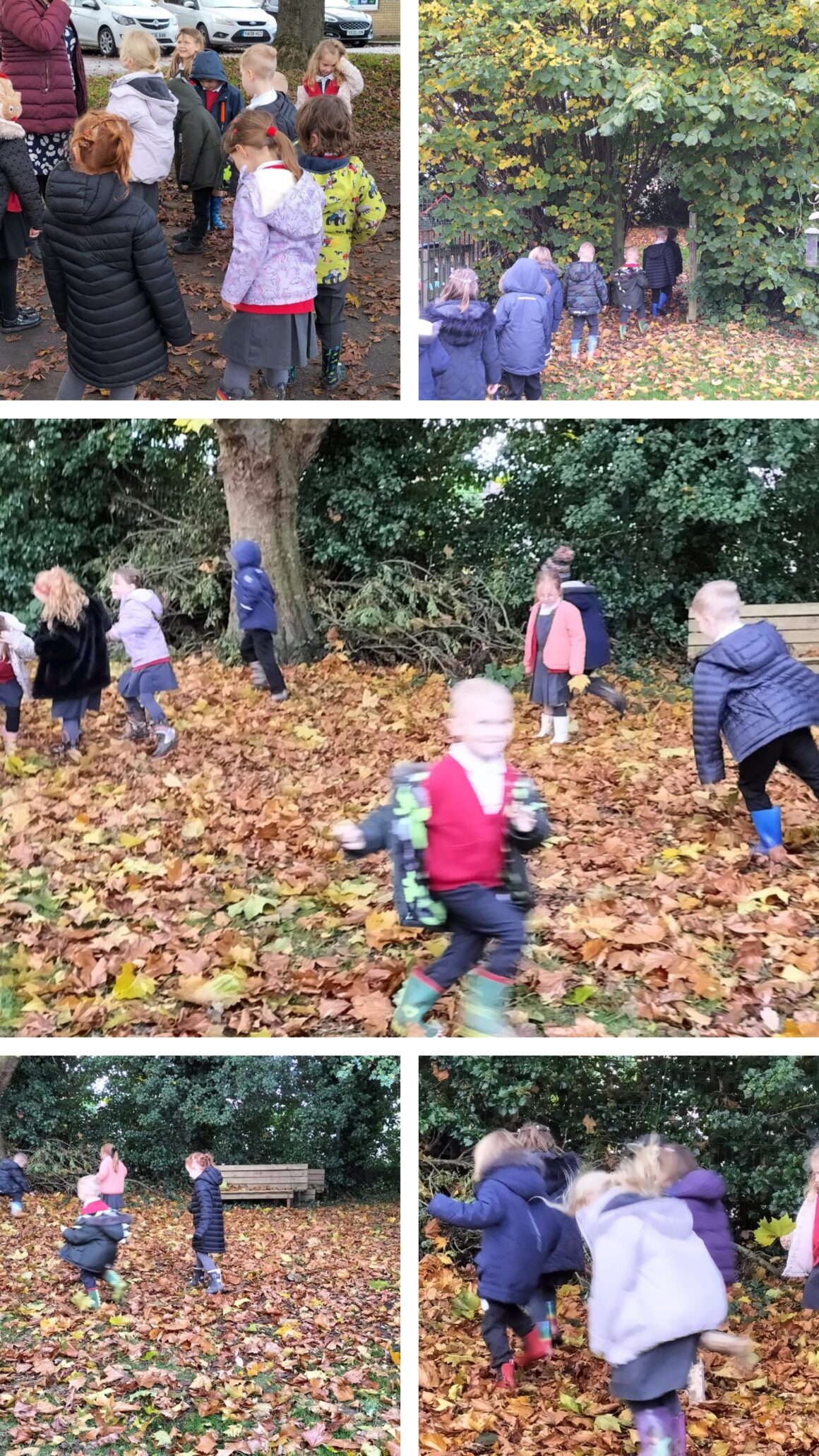 Class 1’s Autumn Adventure