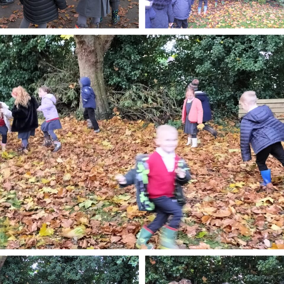 Class 1’s Autumn Adventure