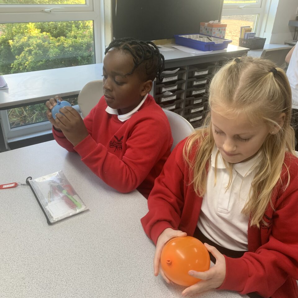 Class 5’s Science investigations
